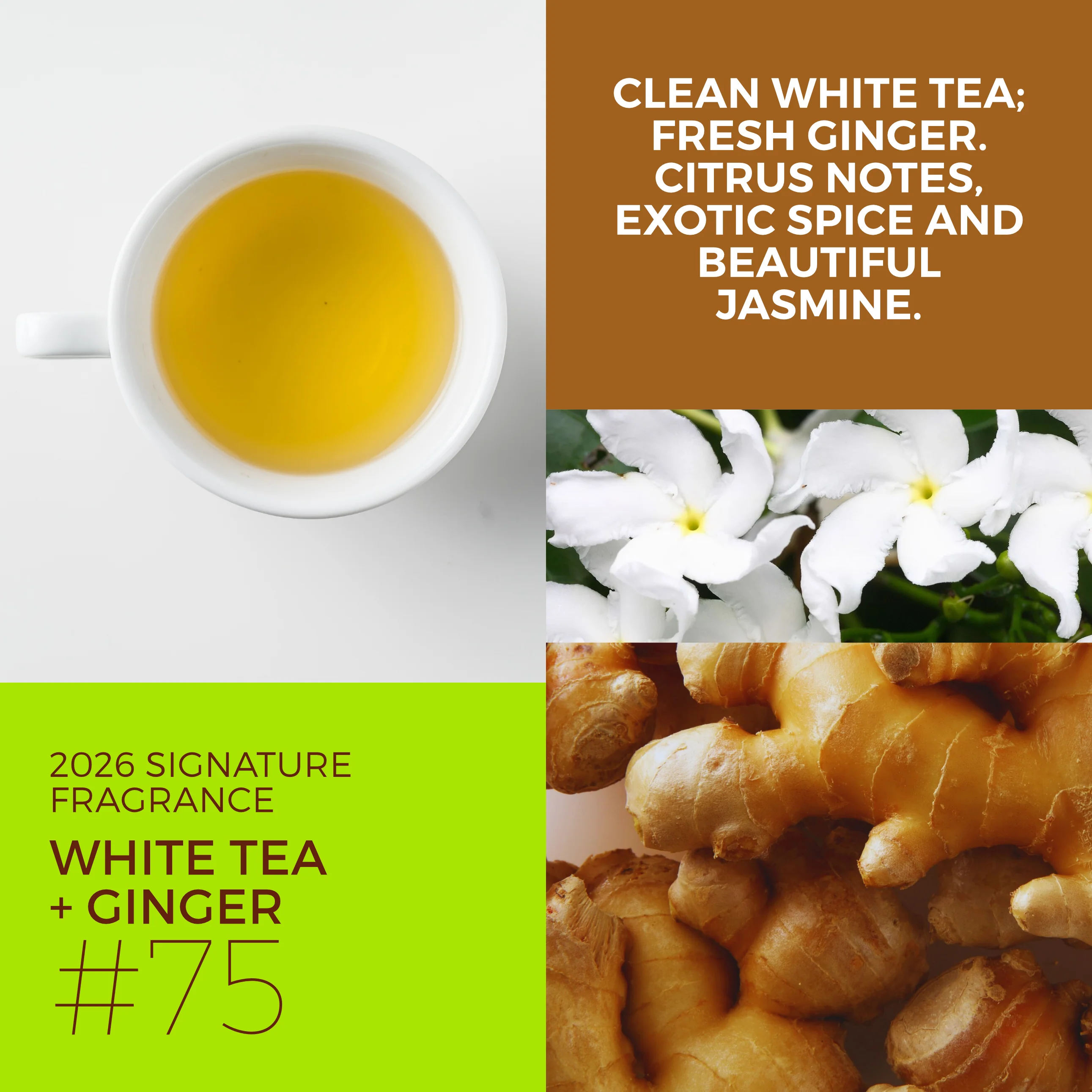 White Tea + Ginger #75 | Parfum *Scent of the Year 2026* - Image 3