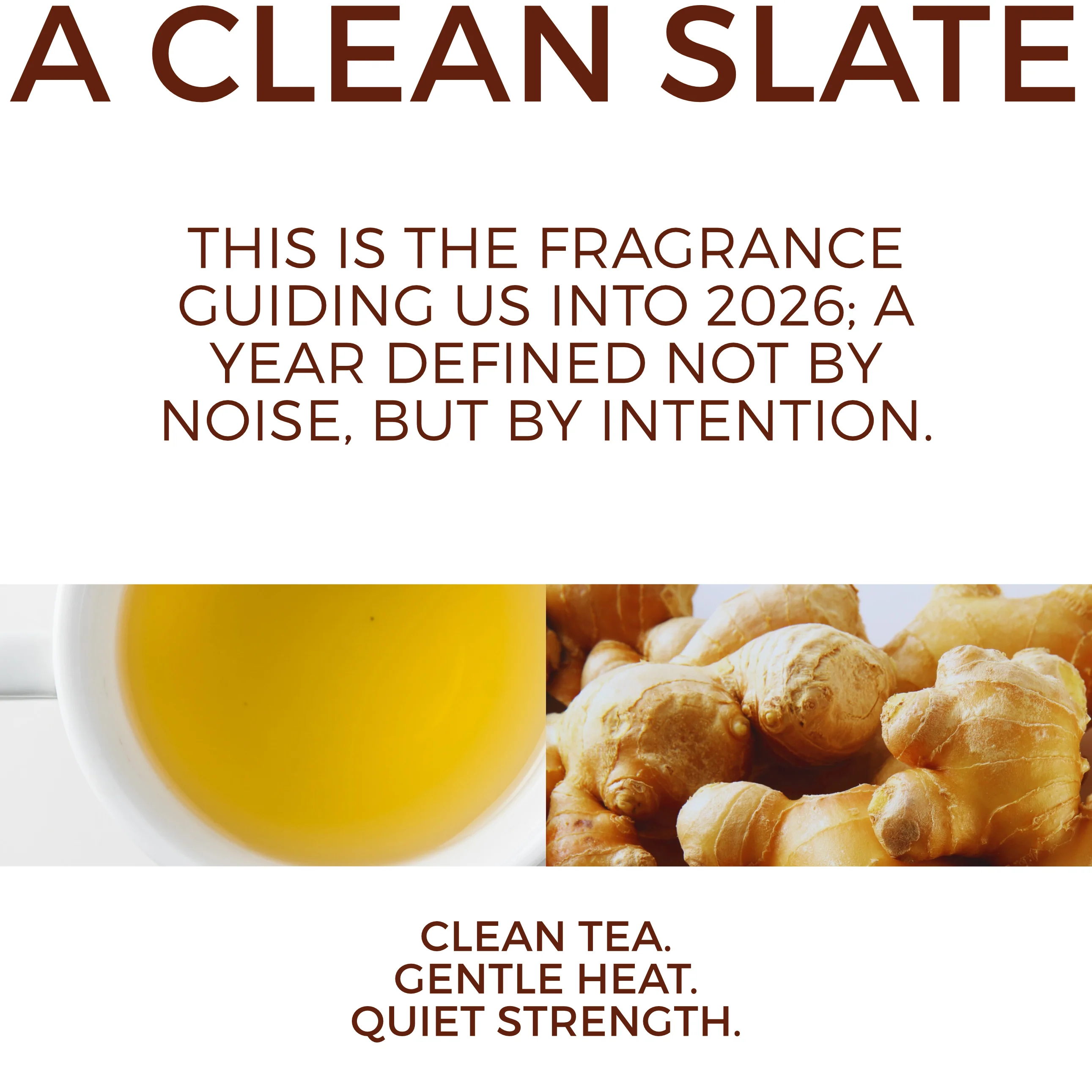 White Tea + Ginger #75 "Focus & Fortitude" - Aloe X Shea Body Moisturizer *Scent of the Year 2026* - Image 7
