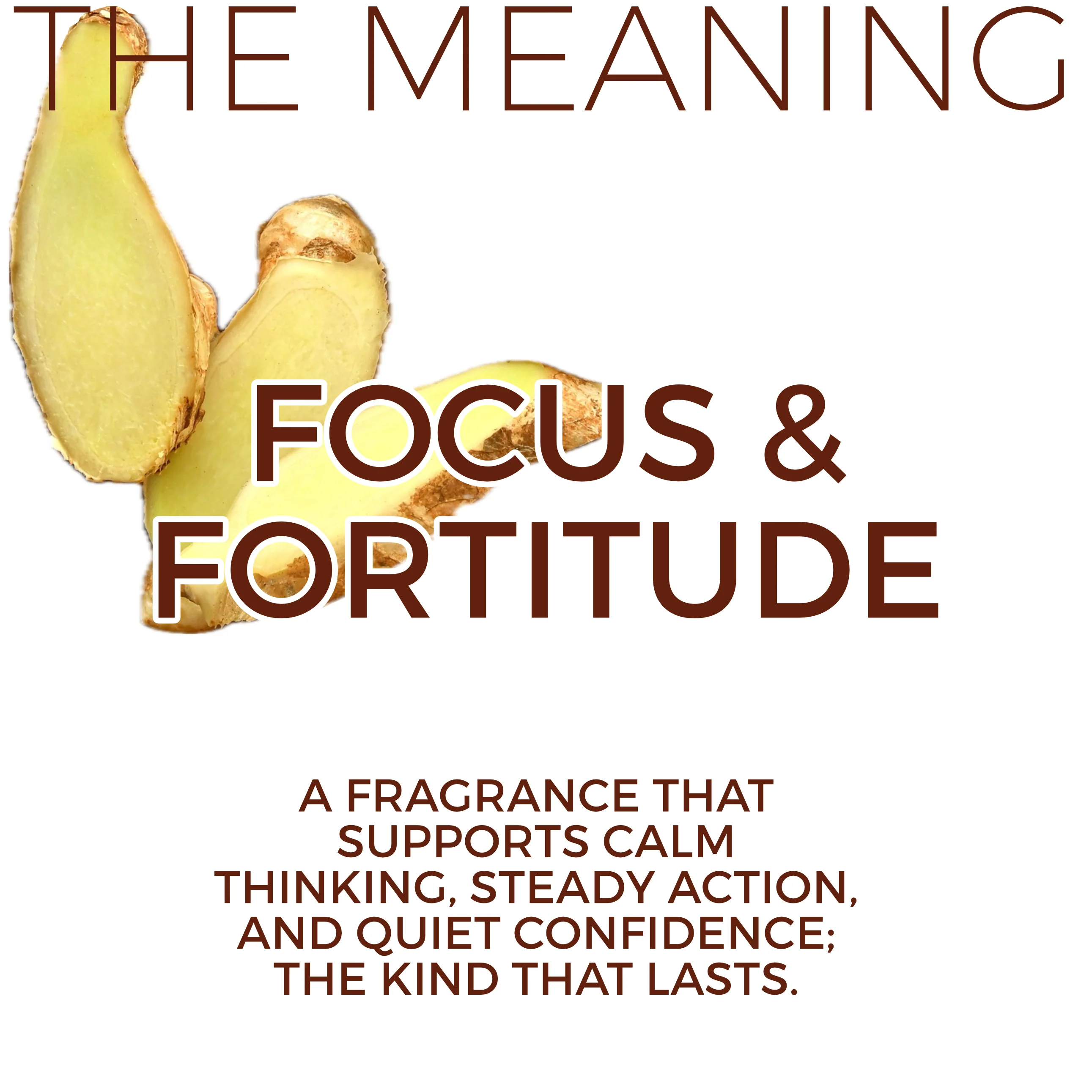 White Tea + Ginger #75 "Focus & Fortitude" - Aloe X Shea Body Moisturizer *Scent of the Year 2026* - Image 9